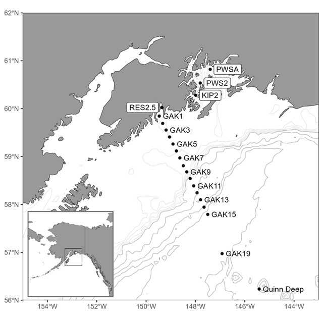 A thumbnail of the file image