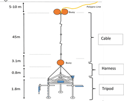 A thumbnail of the file image