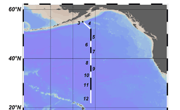 A thumbnail of the file image