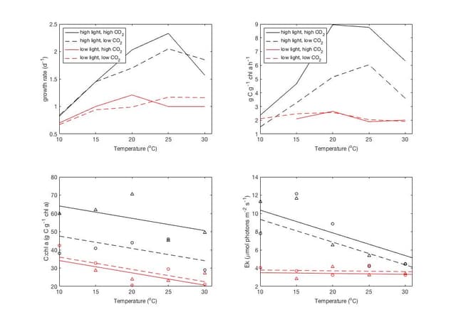 A thumbnail of the file image